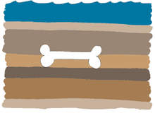 Illustration of soil ground layers with buried fossil bone