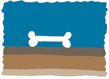 Illustration of soil ground layers with exposed fossil bone