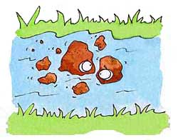 illustration pieces of rock in water