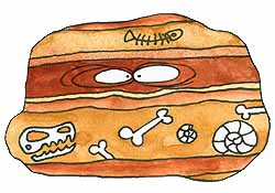 illustration sedimentary rock layers with fossils