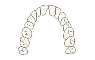 Illustration of teeth on white background