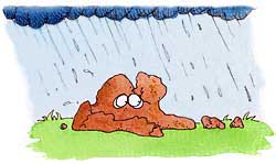 Illustration rock with eyes under the rain