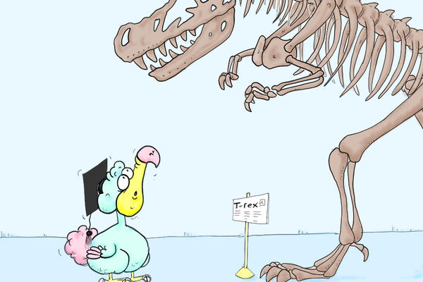 Cartoon of a 'Professor' dodo looking up at a T. rex skeleton