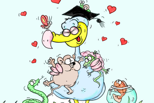 Cartoon of a 'Professor' dodo surrounded by an assortment of other cartoon animals