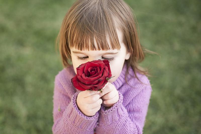 Little girl smelling rose